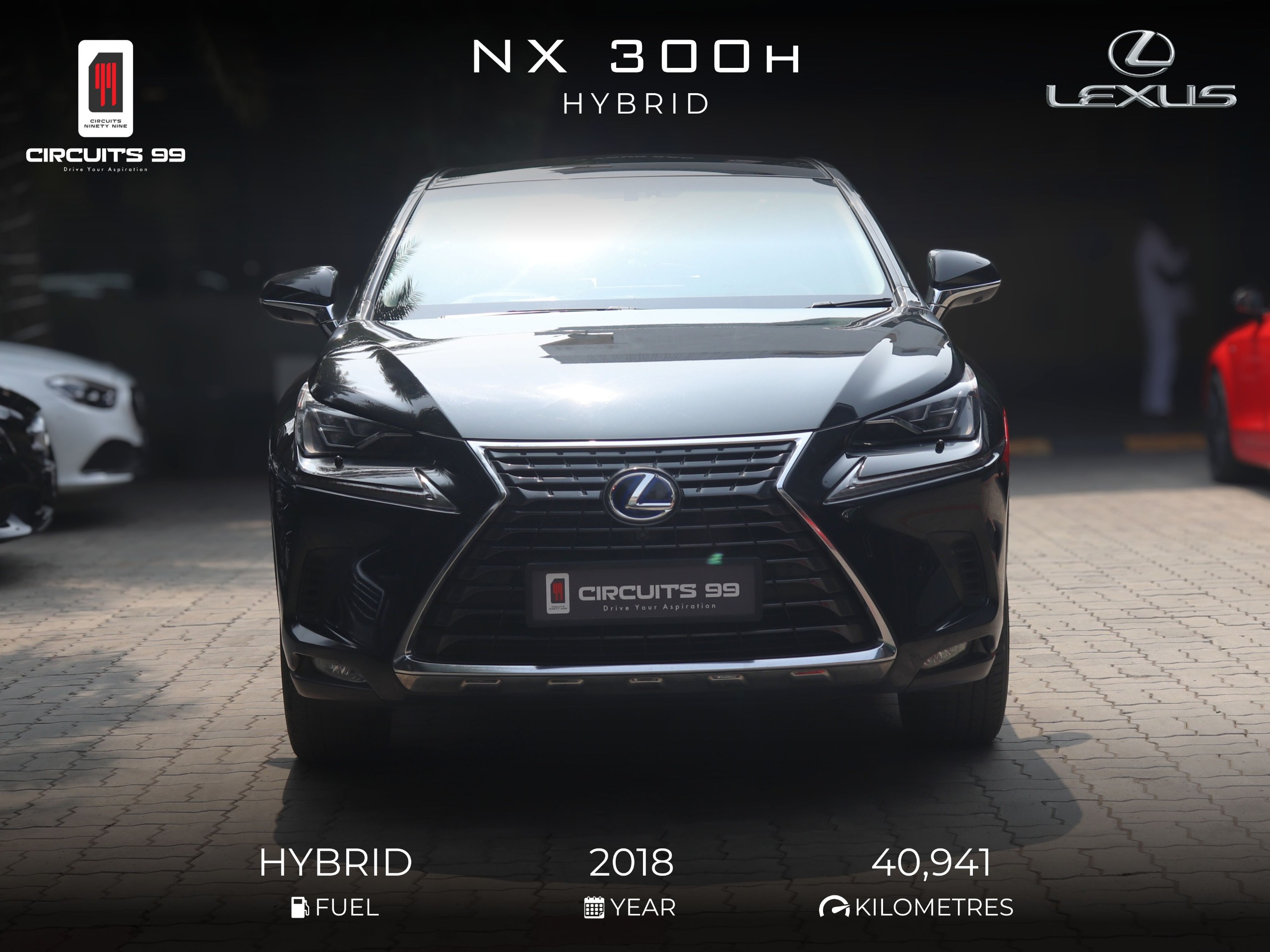 LEXUS NX300H